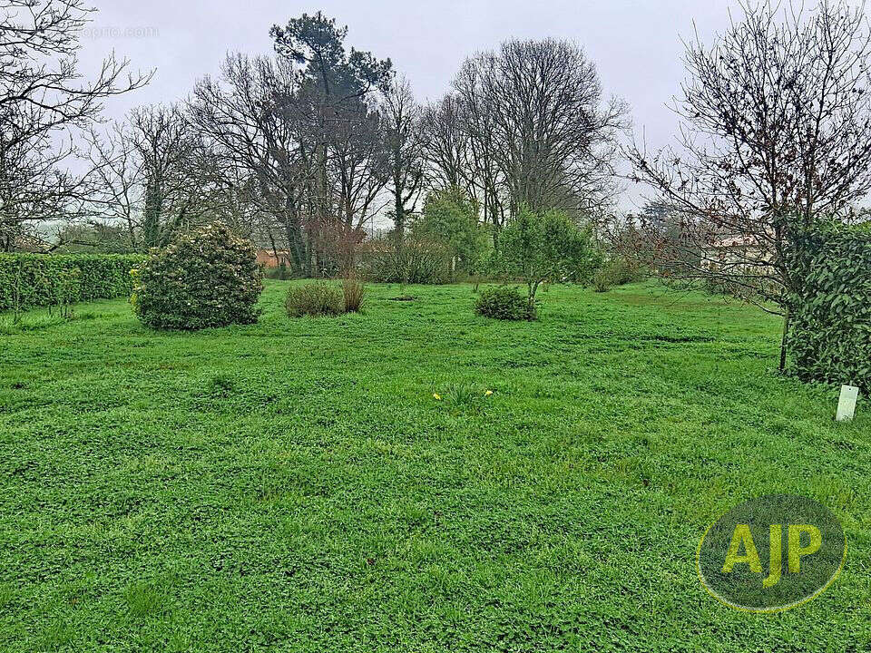 Maison à SAINT-GERMAIN-D'ESTEUIL
