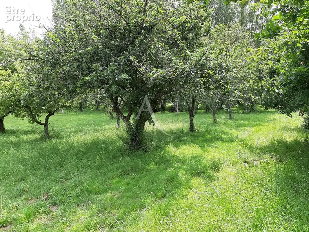 Terrain de loisirs Venansault - photo 4