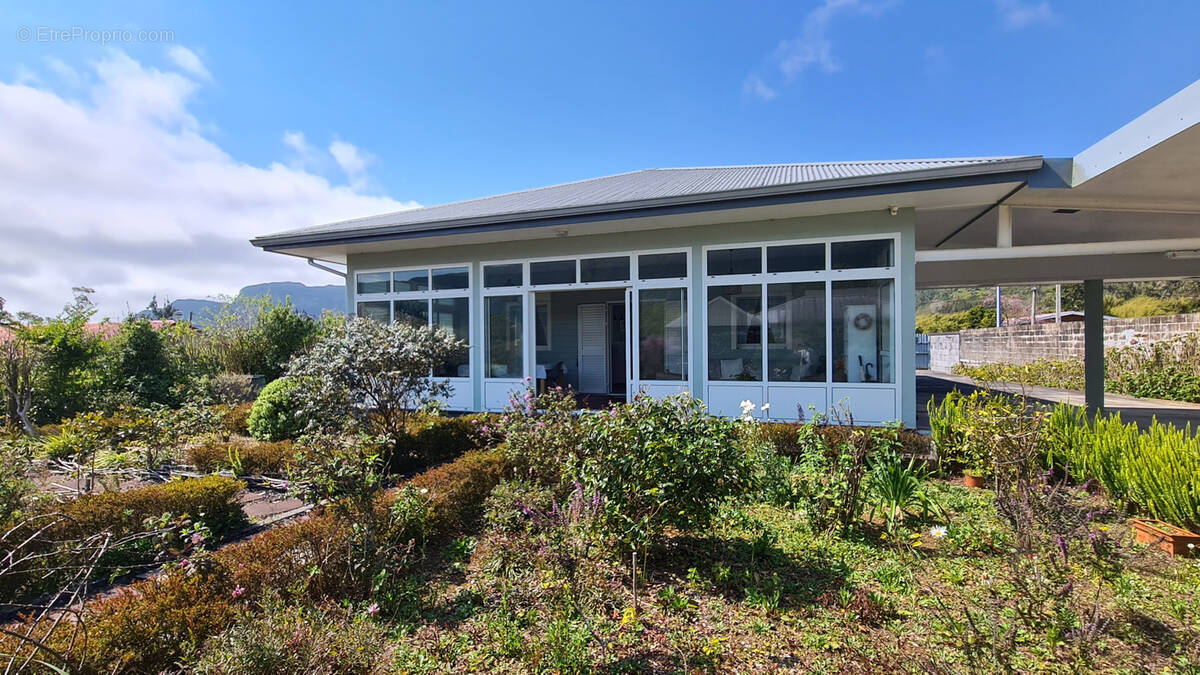 Maison à LA PLAINE-DES-PALMISTES