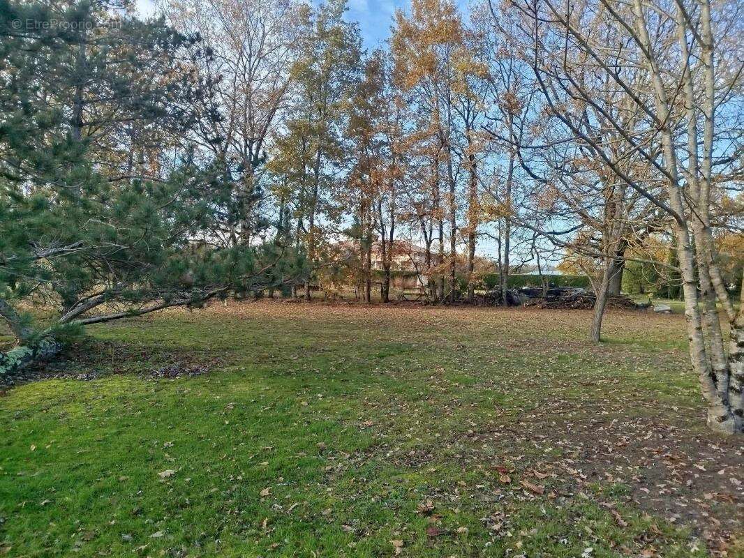 Terrain à SAINT-ETIENNE-DE-TULMONT