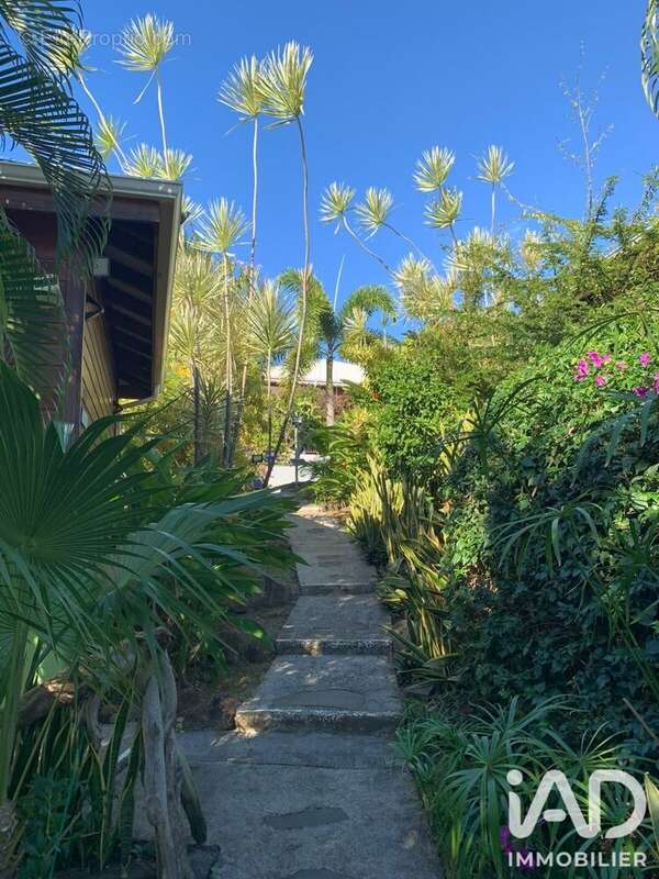 Photo 5 - Maison à DESHAIES