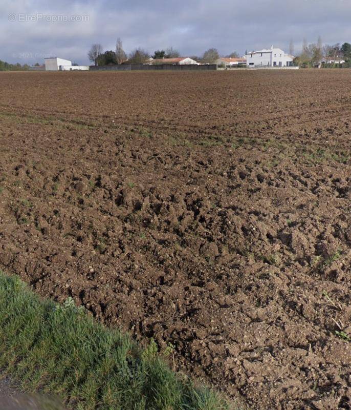 Terrain à SAINT-JEAN-DE-LIVERSAY