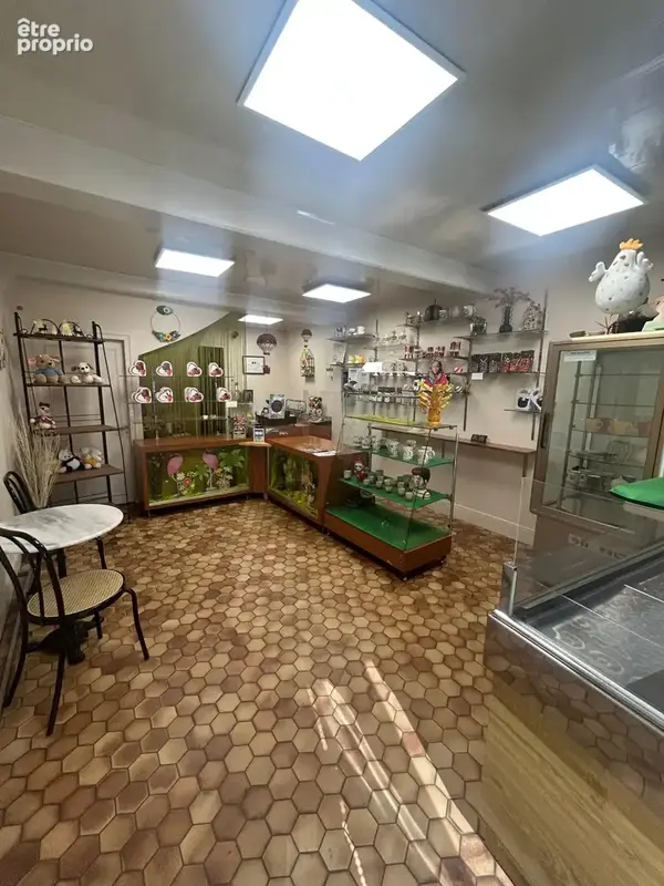 Bien immobilier à vendre à Bar-Sur-Aube (10200) - photo 3