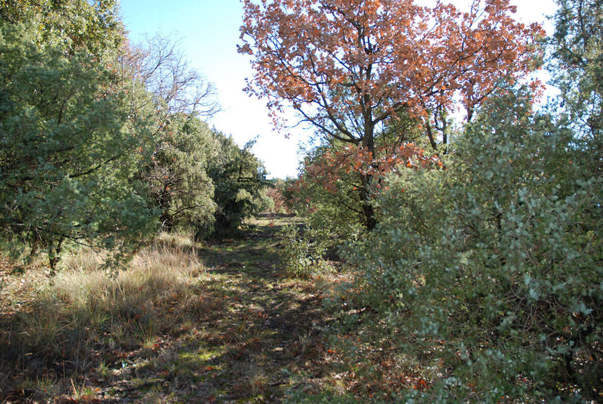 Terrain à BAUDINARD-SUR-VERDON