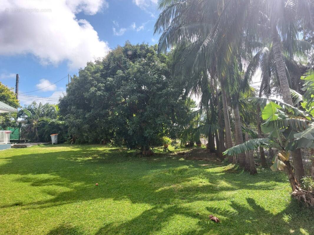 Terrain à SAINT-ANDRE