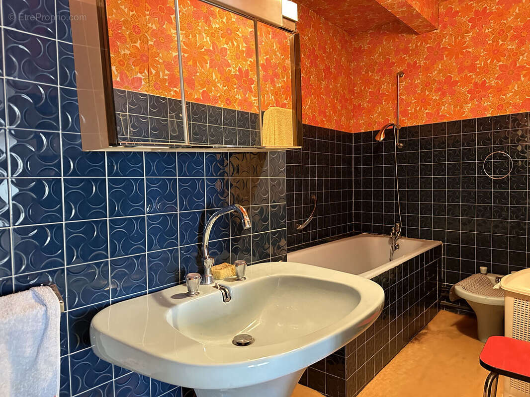 Photo 8 - Maison à SAINT-JUST-LA-PENDUE