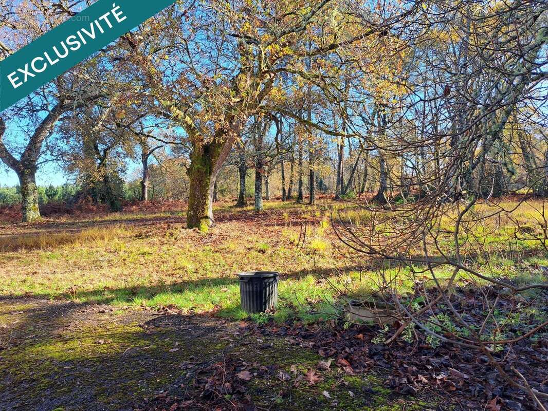 Photo 5 - Maison à SORE