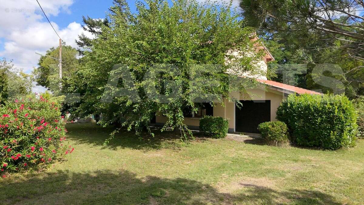 dji_fly_20250722_100454_0189_1764411147205_photo - Maison à LES ISSARDS