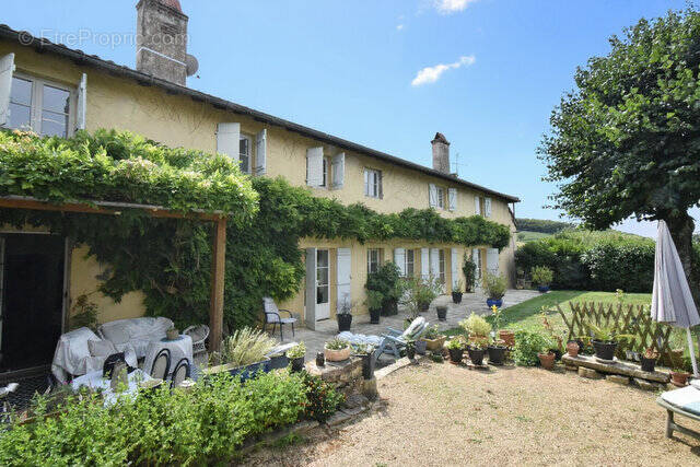 n°1 - Maison à TOURNUS