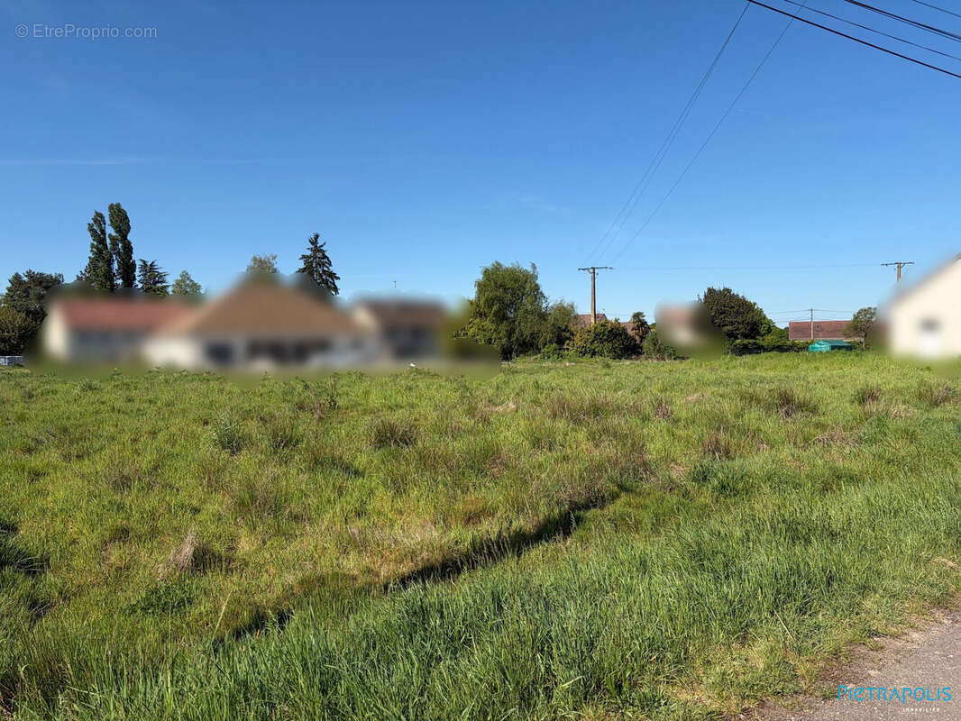 Terrain à SAINT-MARTIN-EN-BRESSE