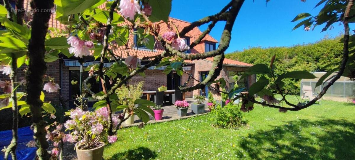 Maison à LEERS