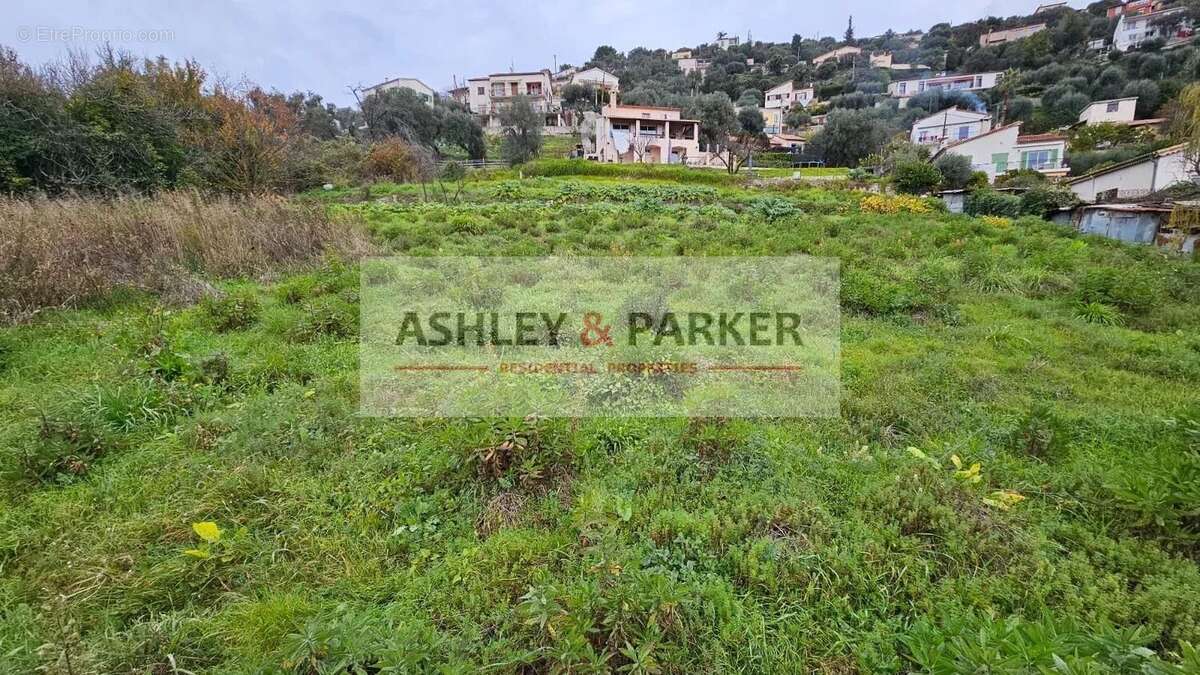 Terrain à SAINT-ANDRE-DE-LA-ROCHE