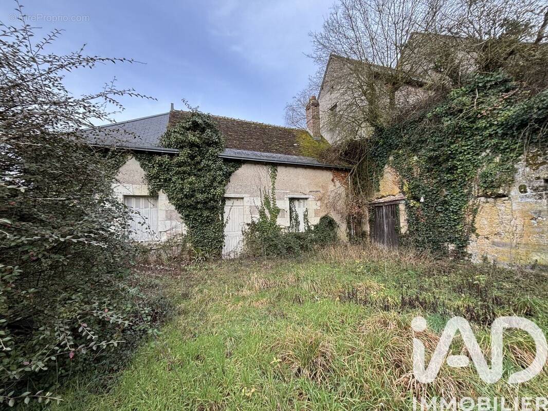 Photo 1 - Terrain à SOUVIGNY-DE-TOURAINE