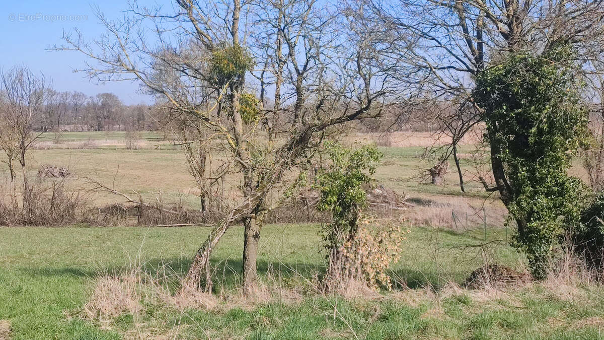 Terrain à SAINT-ETIENNE-SUR-REYSSOUZE