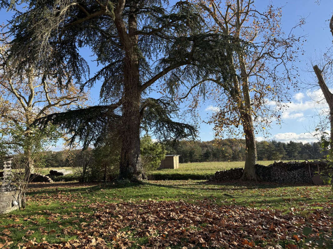 Maison à CASTELNAU-D'AUZAN
