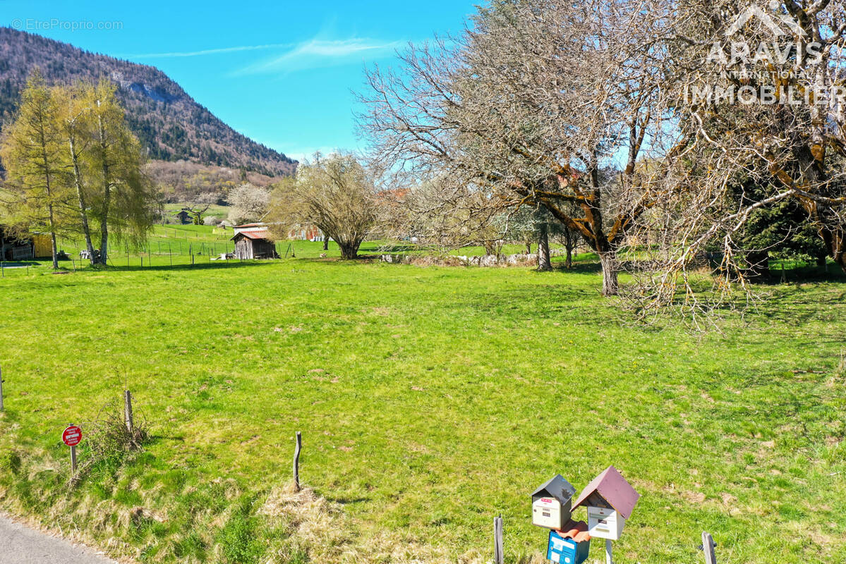 Terrain à SEYTHENEX
