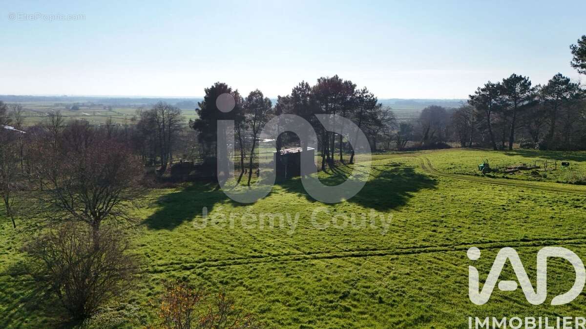 Photo 8 - Maison à SAVENAY