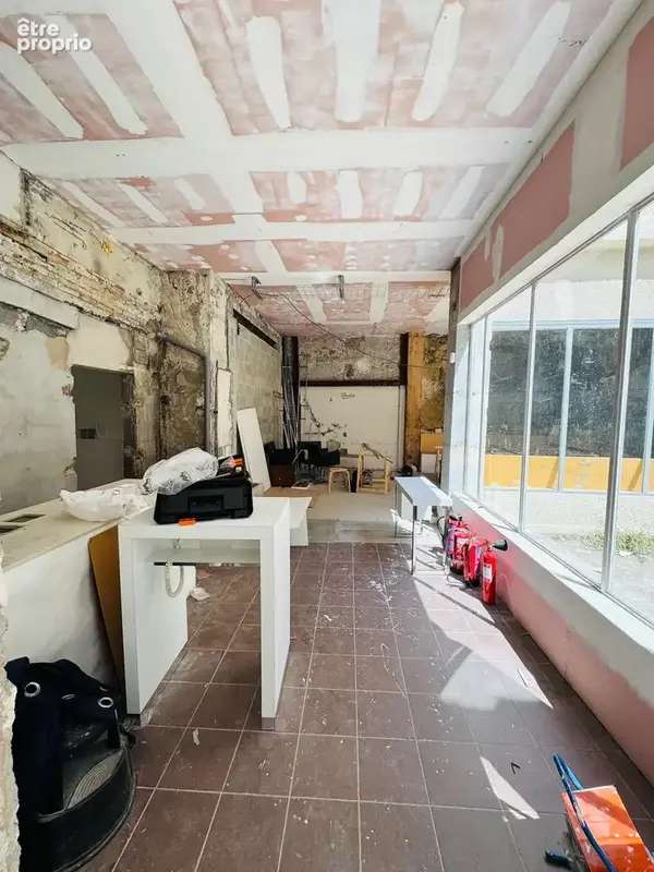 Grenoble Vaucanson plateau 118 m2 style loft + terrasse 100 m2 - photo 4