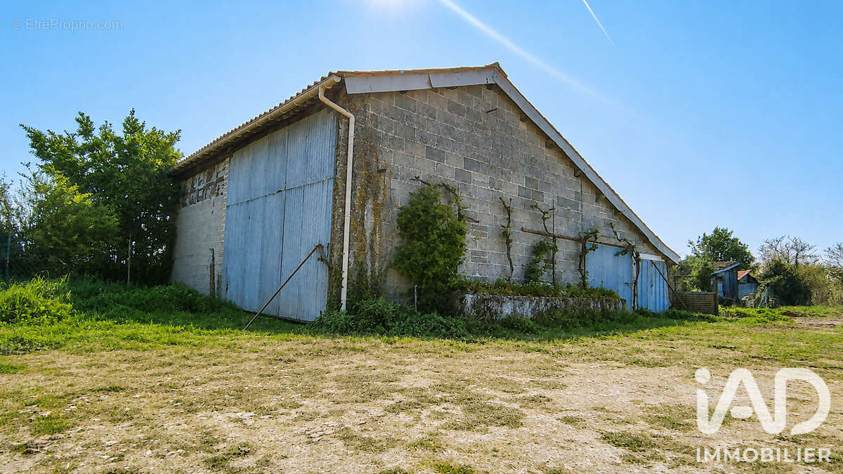 Photo 4 - Maison à FONTENAY-LE-COMTE