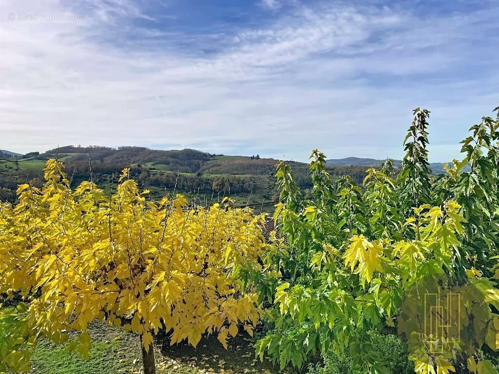 Maison à SAINT-PIERRE-LA-PALUD