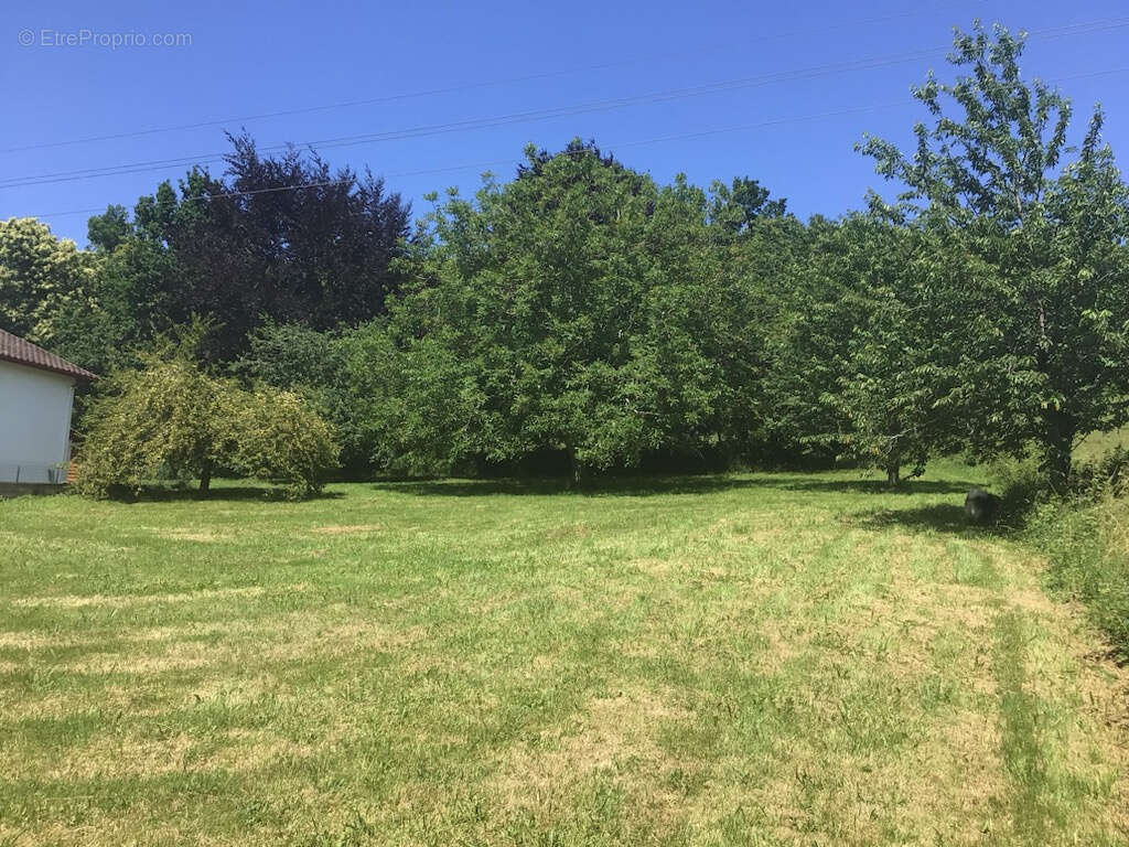 Maison à LARCEVEAU-ARROS-CIBITS