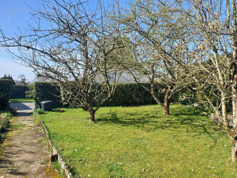 Maison à BESNEVILLE