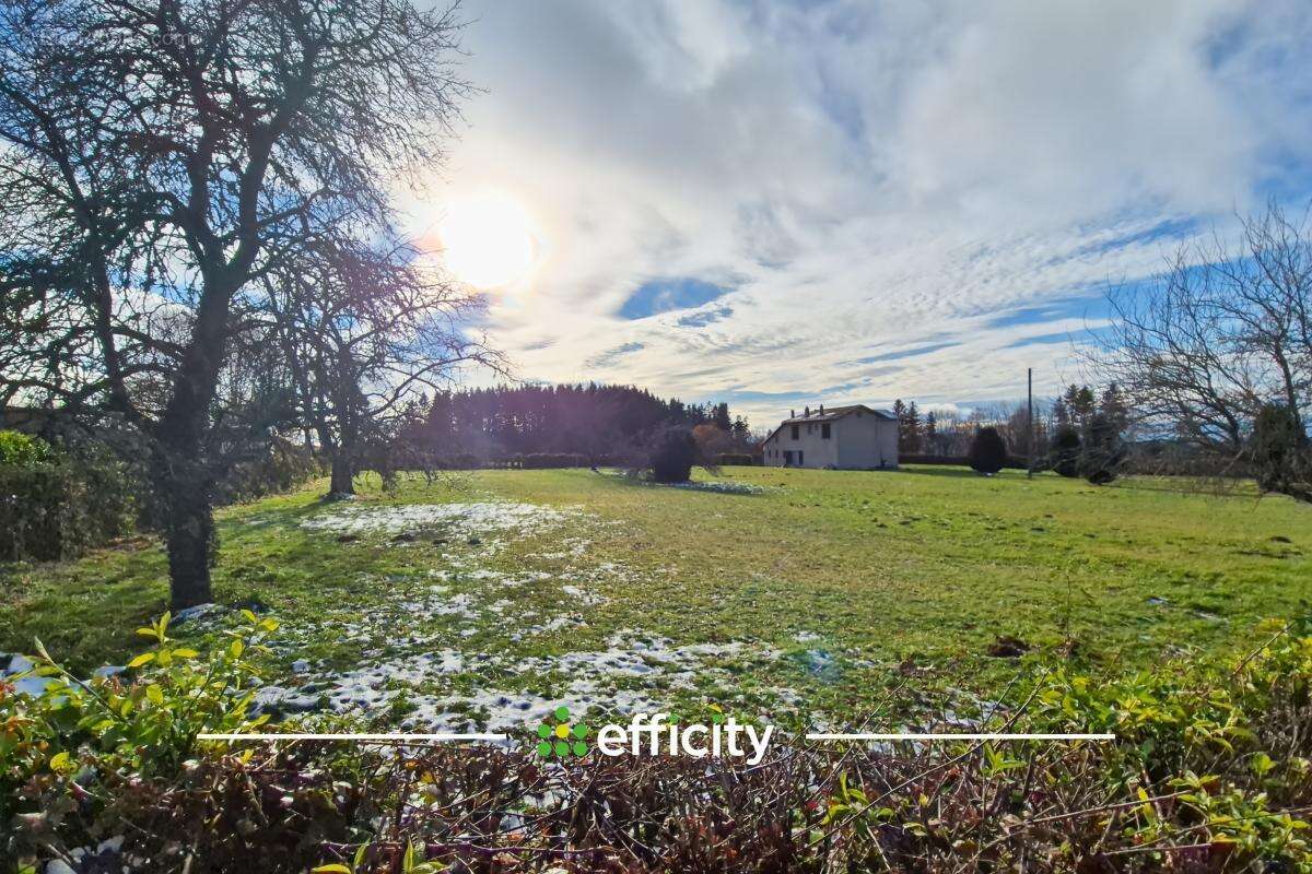 Terrain à VERNET-LA-VARENNE