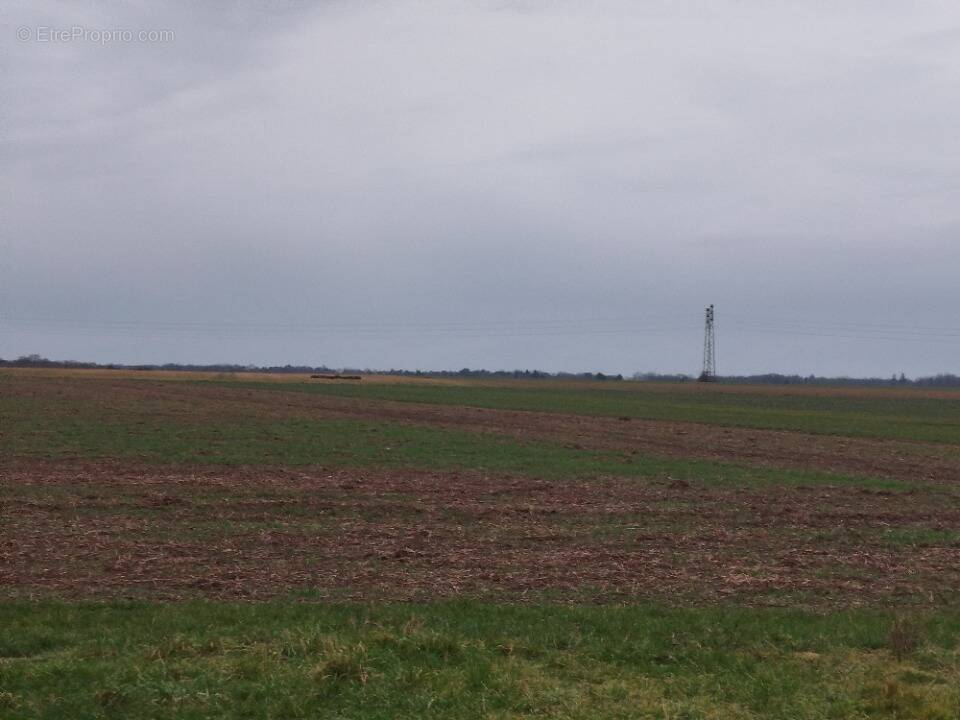 Terrain à GUICHAINVILLE