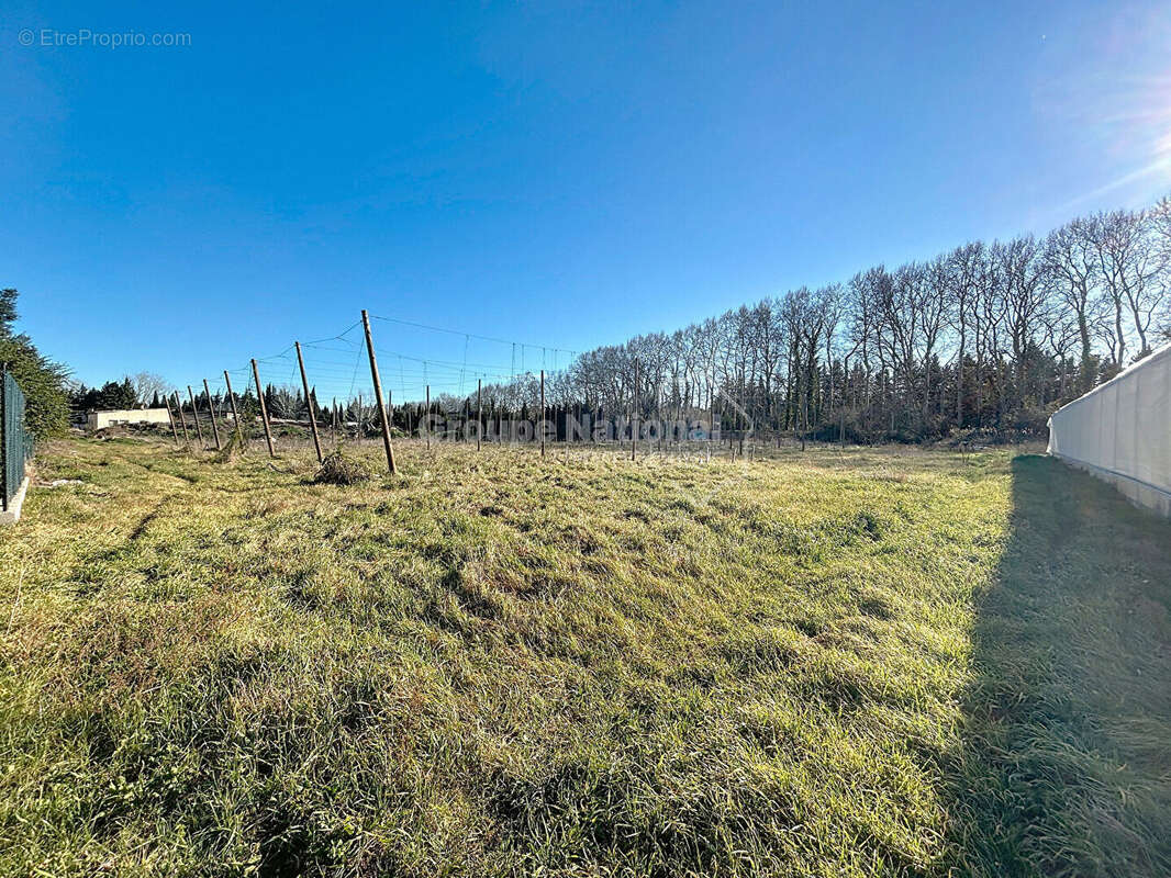 Terrain à AVIGNON
