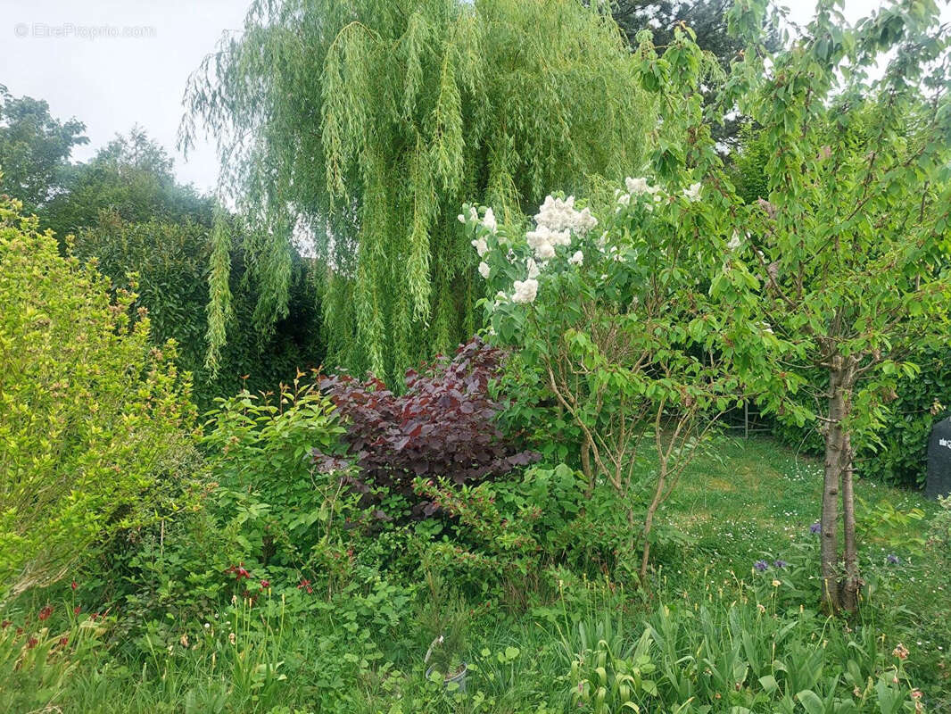 Maison à VOISINS-LE-BRETONNEUX
