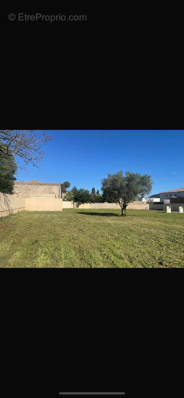 Terrain à LANSARGUES