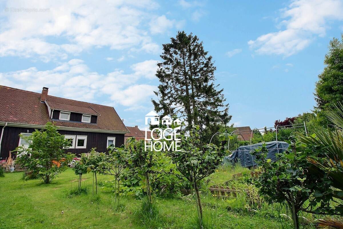 Façade arrière - Maison à DOURGES
