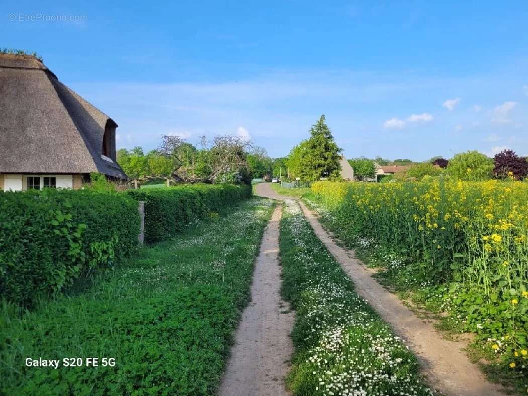 Maison à SAINT-MARTIN-DES-CHAMPS