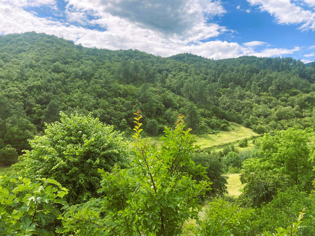 Maison à SAINT-FORTUNAT-SUR-EYRIEUX