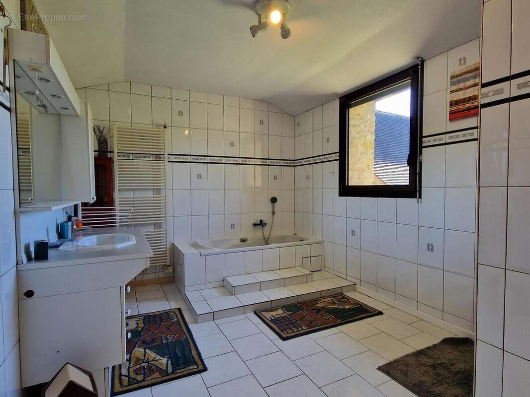 20250408142426 - Maison à SAVIGNAC-DE-MIREMONT