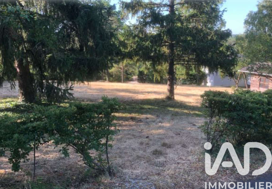 Photo 2 - Terrain à CHISSAY-EN-TOURAINE