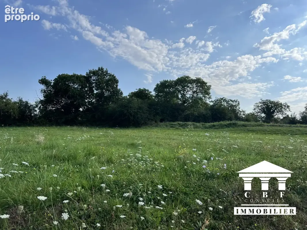 Terrain 768 m² à vendre à Saint-Sernin-Du-Bois (71200) - photo 5