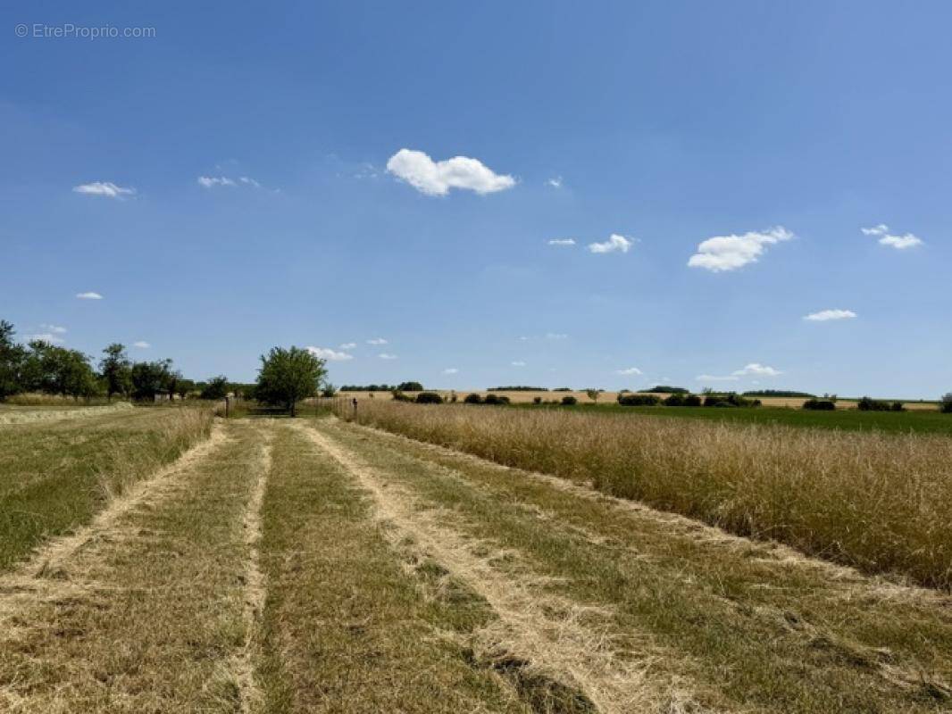 Terrain à HARAUCOURT
