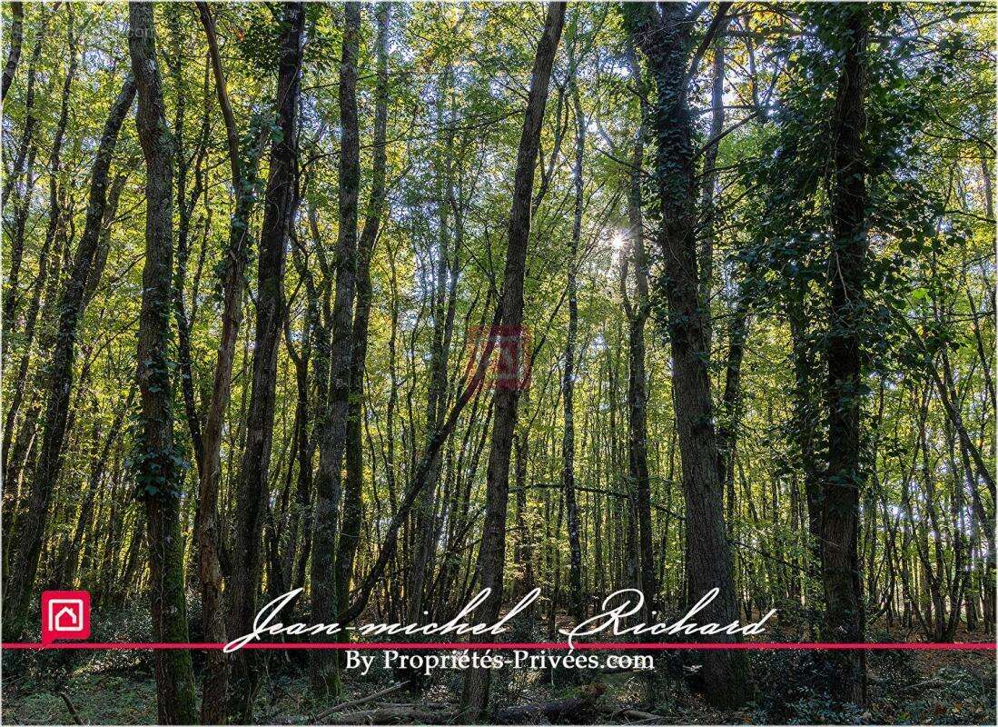 Terrain à GY-EN-SOLOGNE