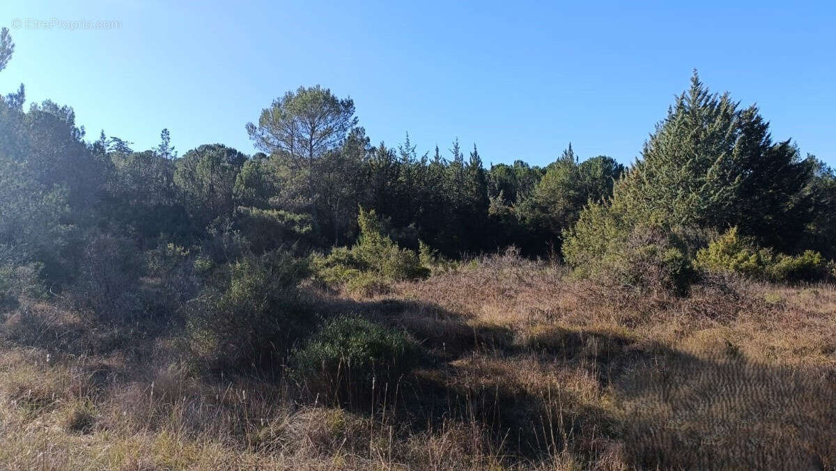Terrain à MONTARNAUD