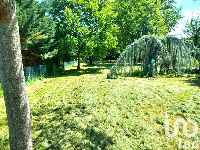 Photo 4 - Terrain à BRAX