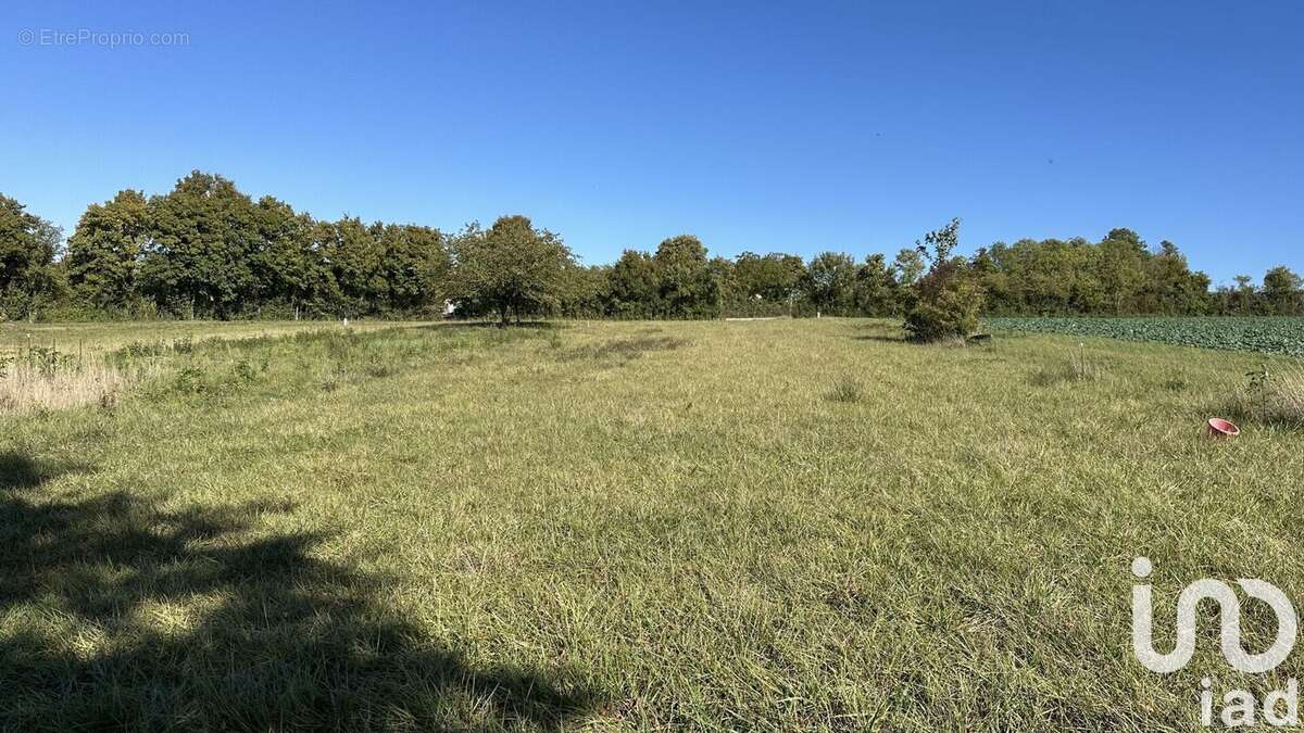 Photo 9 - Terrain à ONJON