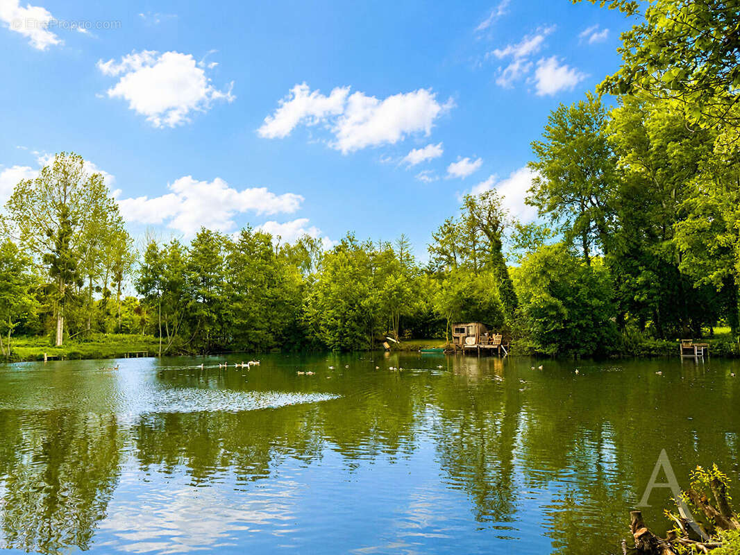 Exceptionnel domaine nature de près de 3 hectares avec étangs et rivière - photo 3