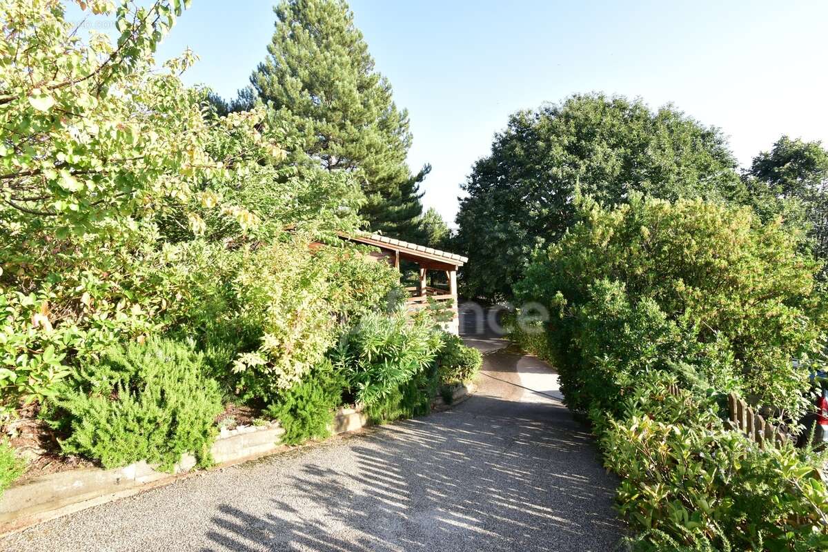 Dpt Corse (20), à vendre EVISA, propriété avec six chalets en bois, terrasse vue panoramique, piscine, parking - photo 7