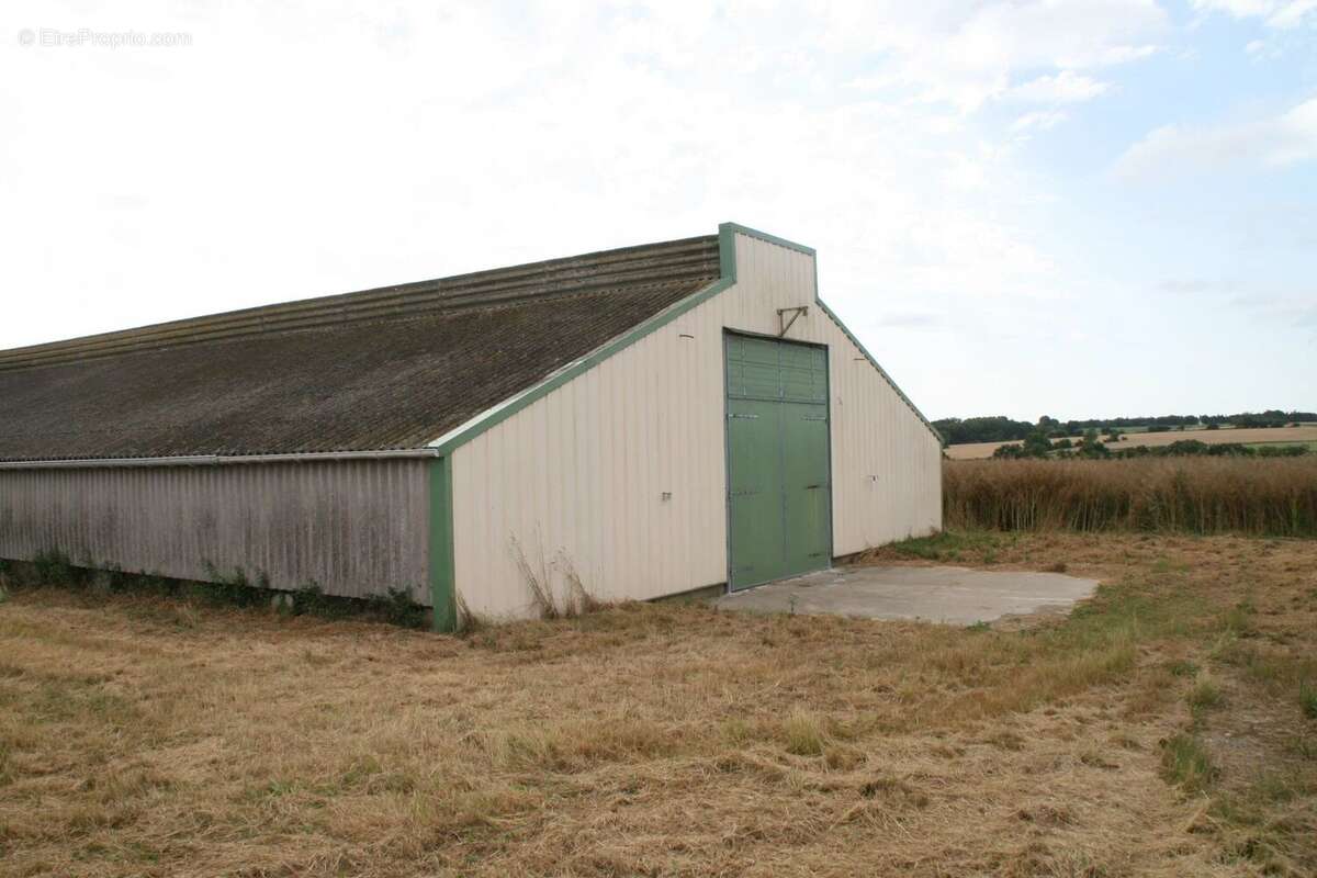 Vente Bureau-local Josselin(56120) 44 000ï¿œ - photo 3