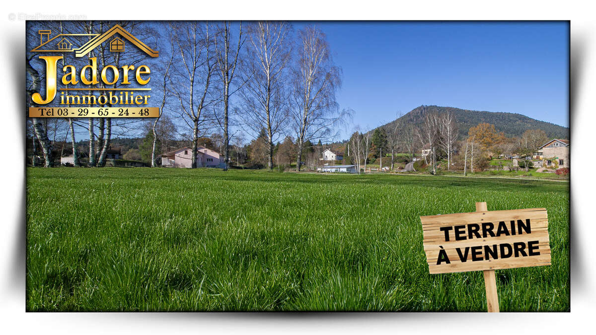 Terrain à SAULCY-SUR-MEURTHE