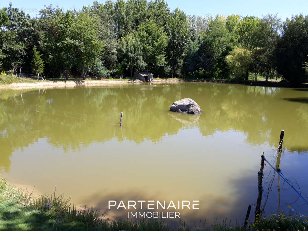 Terrain à AVRILLE