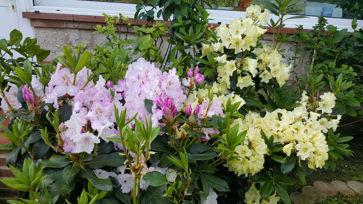 Maison à SAINT-CLAIR