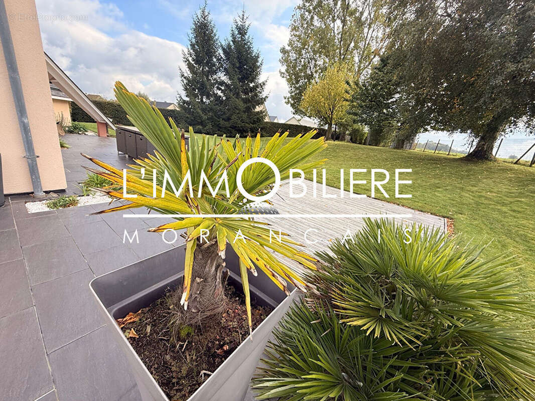 Maison à ISNEAUVILLE