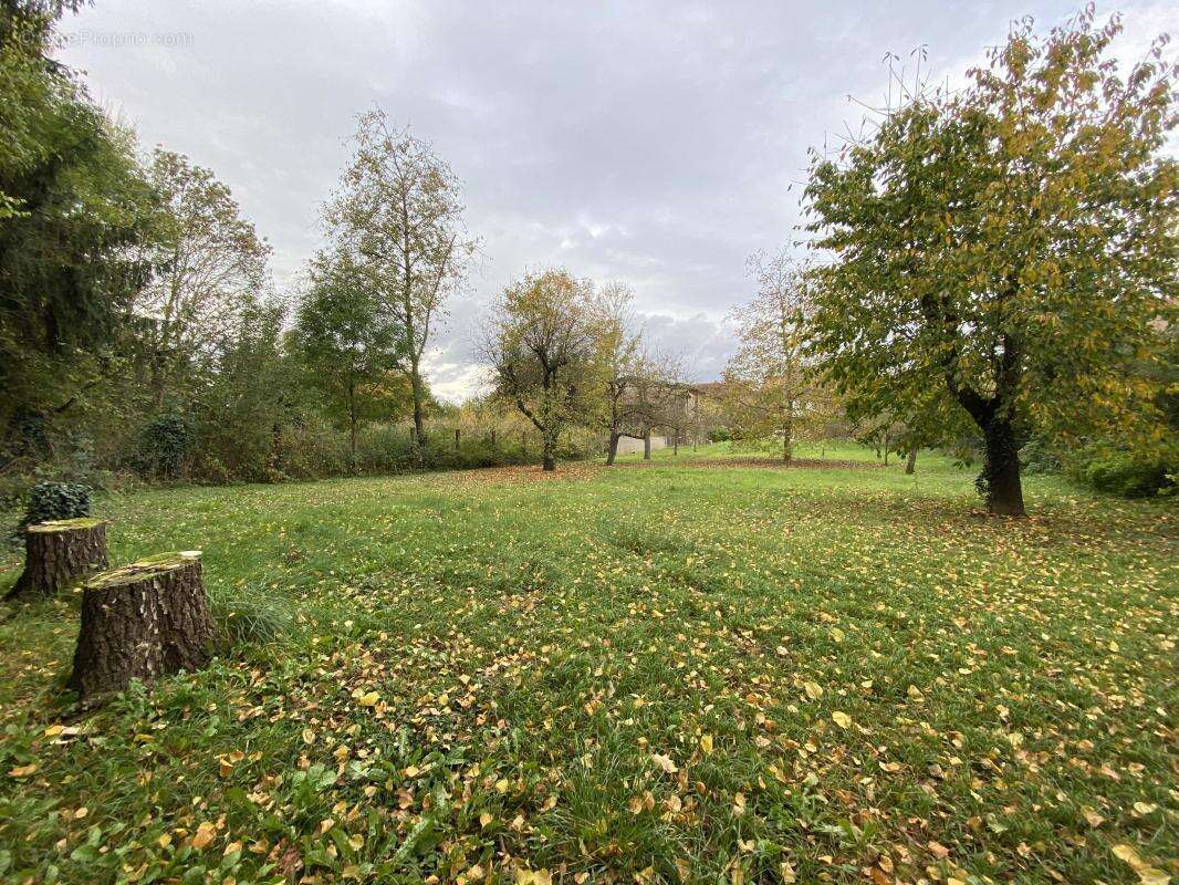 Terrain à BREUSCHWICKERSHEIM